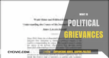 Understanding Political Grievances: Causes, Impacts, and Resolution Strategies