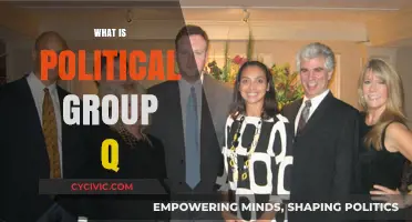 Unveiling the Mystery: Understanding the Political Group Q Phenomenon