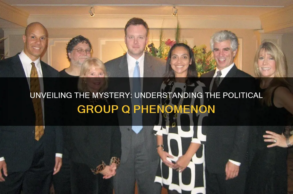 what is political group q