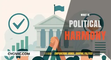 Understanding Political Harmony: Unity, Cooperation, and Stability in Governance