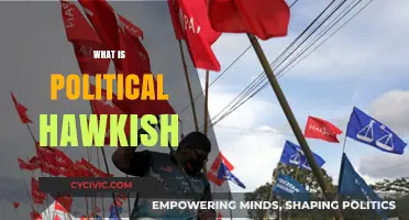 Understanding Political Hawkishness: Aggressive Foreign Policy Explained