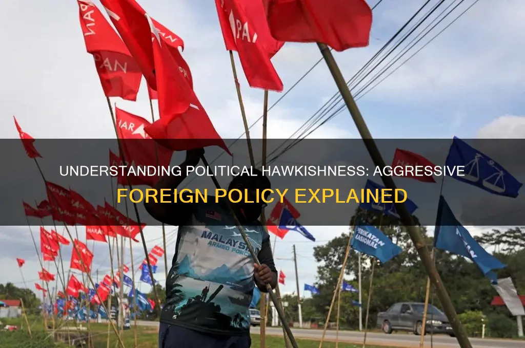 what is political hawkish