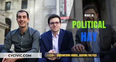 Understanding Political Hay: Tactics, Timing, and Strategic Media Maneuvers