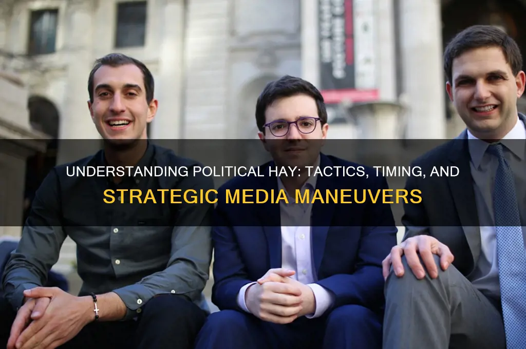 what is political hay