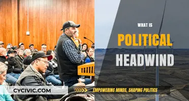 Understanding Political Headwinds: Challenges and Impacts on Policy and Governance