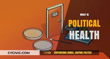Understanding Political Health: Governance, Stability, and Societal Well-Being Explained