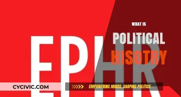 Understanding Political History: Power, Societies, and Global Transformations Explained