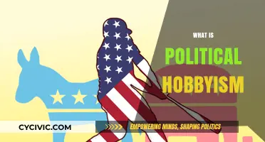 Understanding Political Hobbyism: Casual Engagement or Civic Responsibility?
