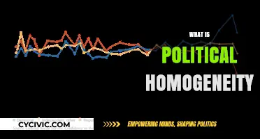 Understanding Political Homogeneity: Causes, Effects, and Societal Implications