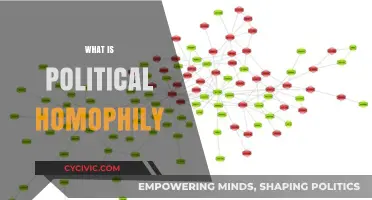 Understanding Political Homophily: How Like-Minded Networks Shape Our Views