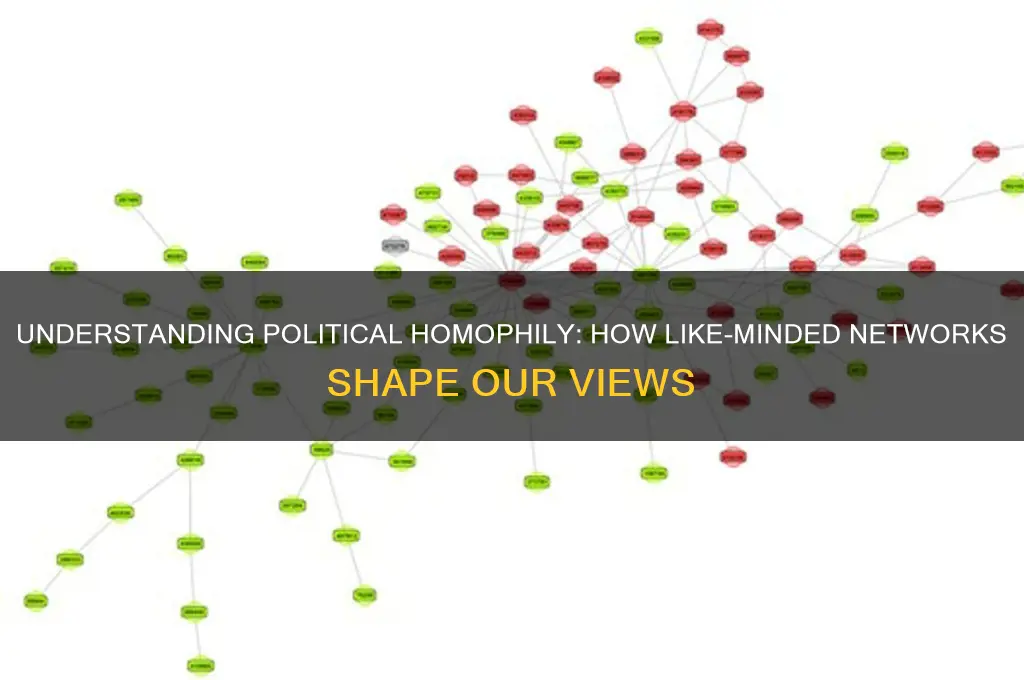 what is political homophily