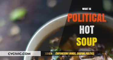 Understanding Political Hot Soup: A Steamy Mix of Controversies and Debates