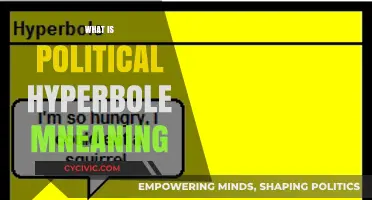 Understanding Political Hyperbole: Meaning, Impact, and Real-World Examples