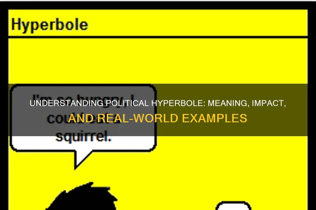 what is political hyperbole mneaning