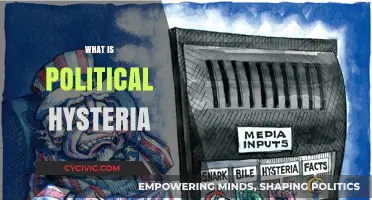 Understanding Political Hysteria: Causes, Effects, and Societal Implications