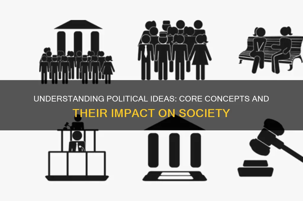 what is political idea