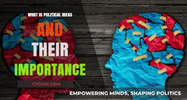 Exploring Political Ideologies: Their Essence and Impact on Society