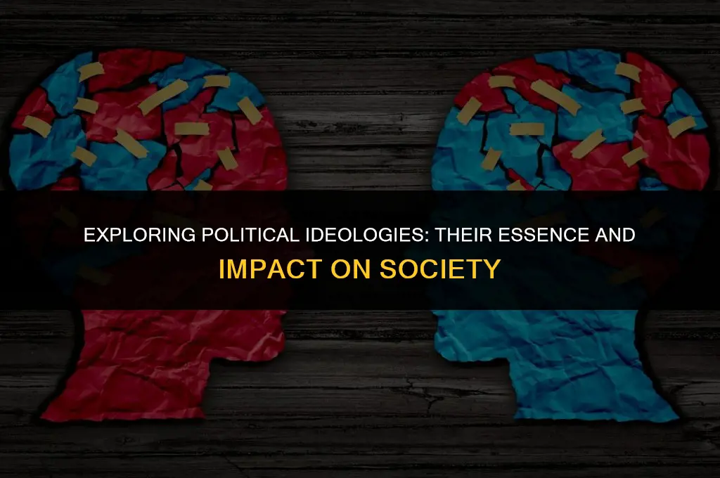 what is political ideas and their importance