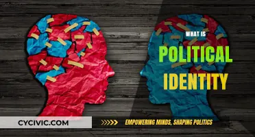 Understanding Political Identity: Shaping Beliefs, Values, and Civic Engagement