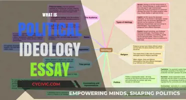 Understanding Political Ideologies: A Comprehensive Essay Guide