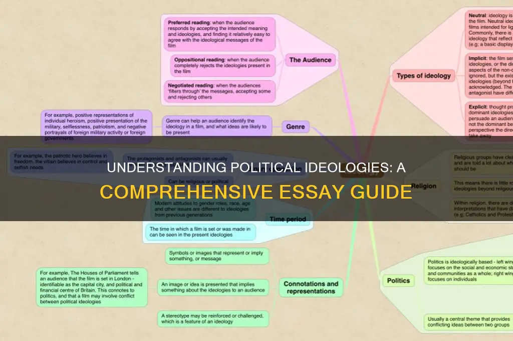 what is political ideology essay