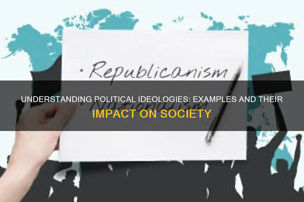 what is political ideology examples