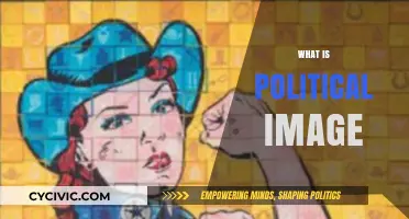Understanding Political Image: Crafting Public Perception in Modern Politics