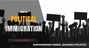 Understanding Political Immigration: Causes, Impacts, and Global Perspectives