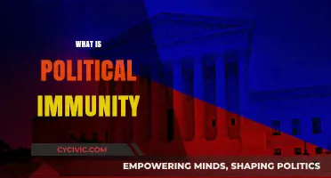 Understanding Political Immunity: Legal Protections and Global Implications Explained