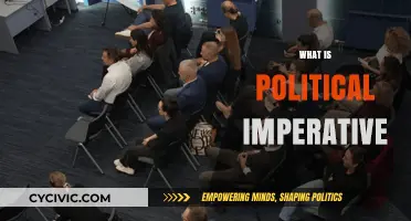 Understanding the Political Imperative: Power, Policy, and Public Influence