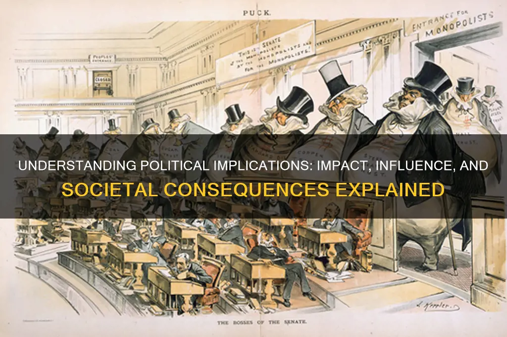 what is political implication