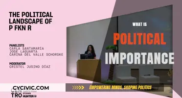Understanding the Political Landscape: Why Politics Matters in Our Lives