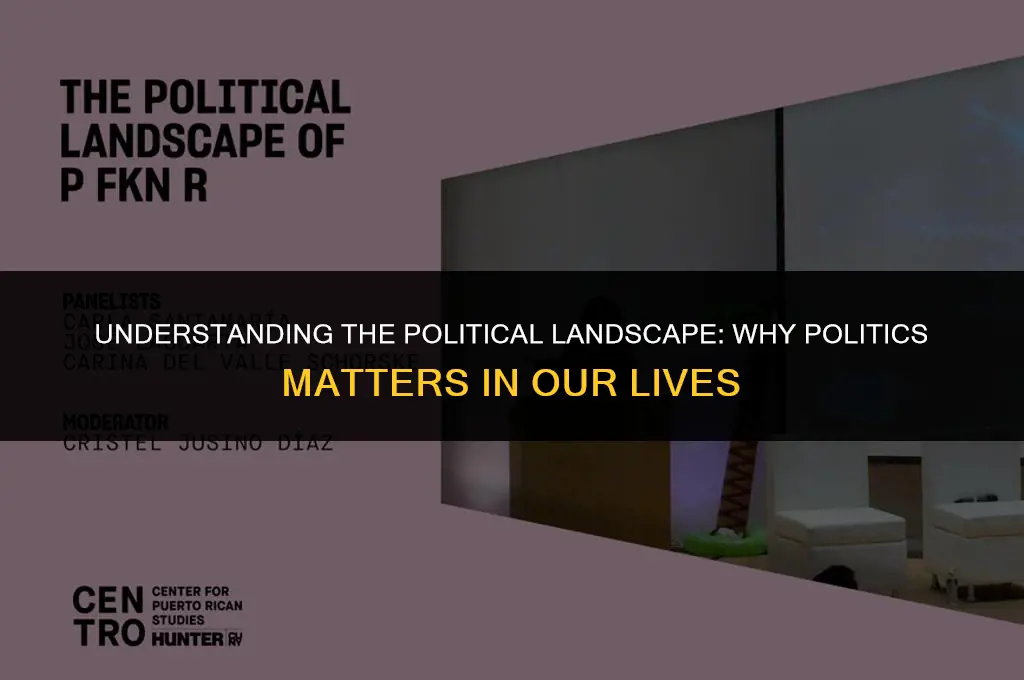 what is political importance