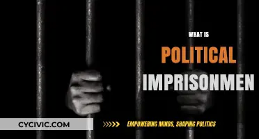 Understanding Political Imprisonment: Causes, Impact, and Global Perspectives