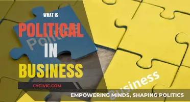 The Intersection of Politics and Business: Power, Influence, and Strategy