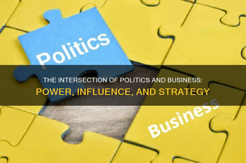 what is political in business
