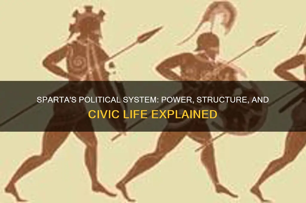 what is political in sparta