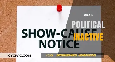 Understanding Political Inactivity: Causes, Consequences, and Civic Engagement Decline