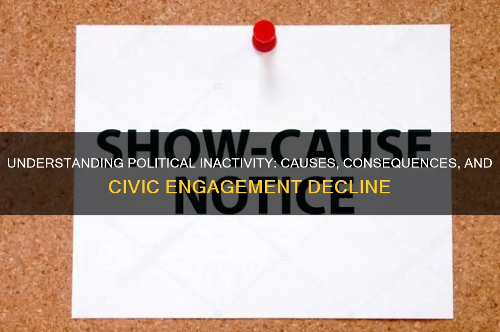 what is political inactive