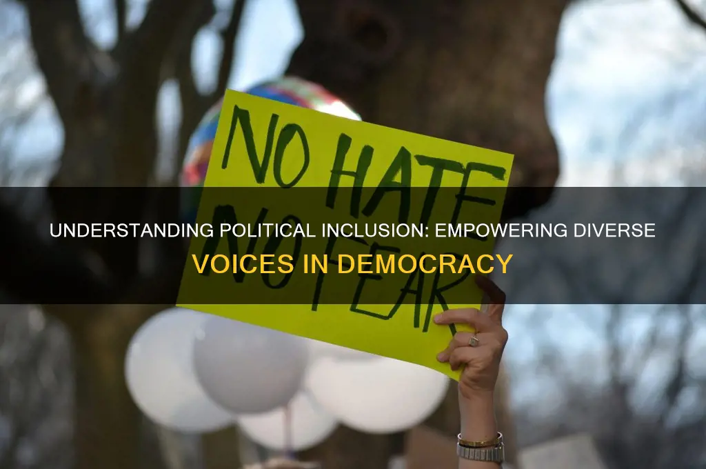 what is political inclusion