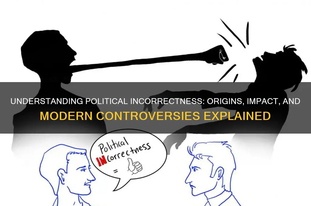 what is political incorrectness