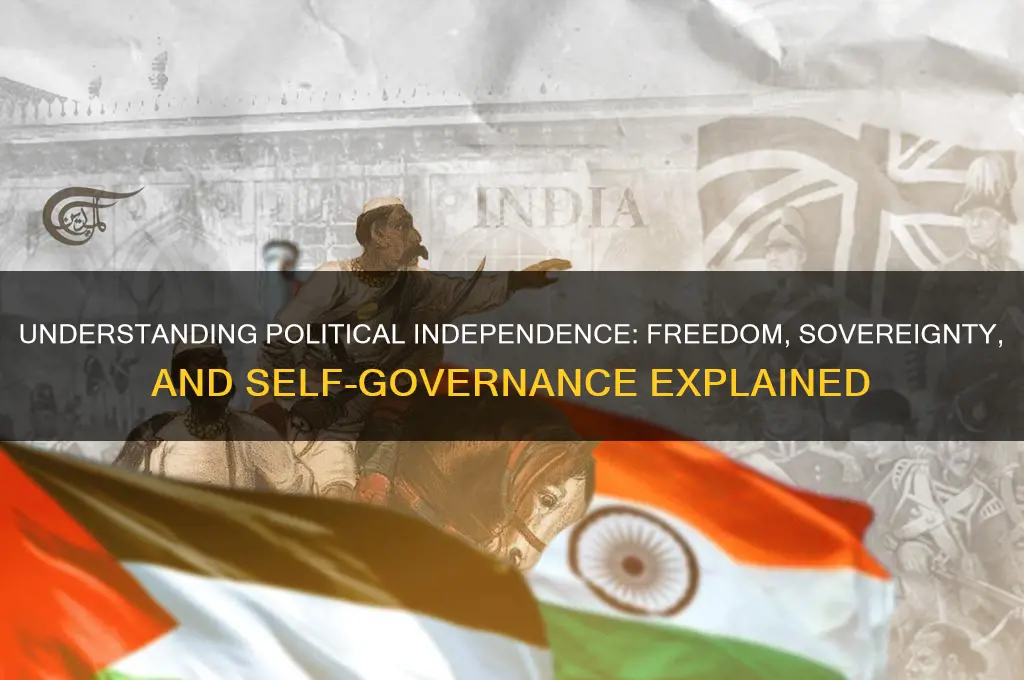 what is political independence