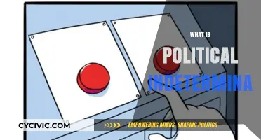 Understanding Political Indeterminacy: Causes, Implications, and Global Impact