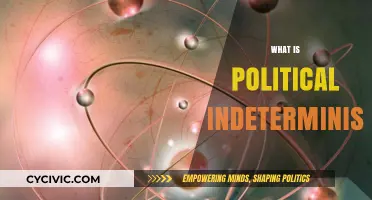 Understanding Political Indeterminism: Unpredictability in Governance and Decision-Making