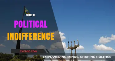 Understanding Political Indifference: Causes, Effects, and Societal Implications