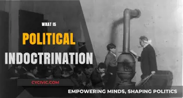 Understanding Political Indoctrination: Methods, Impact, and Societal Implications