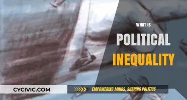 Understanding Political Inequality: Causes, Effects, and Solutions Explained