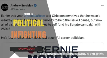 Understanding Political Infighting: Causes, Consequences, and Impact on Governance