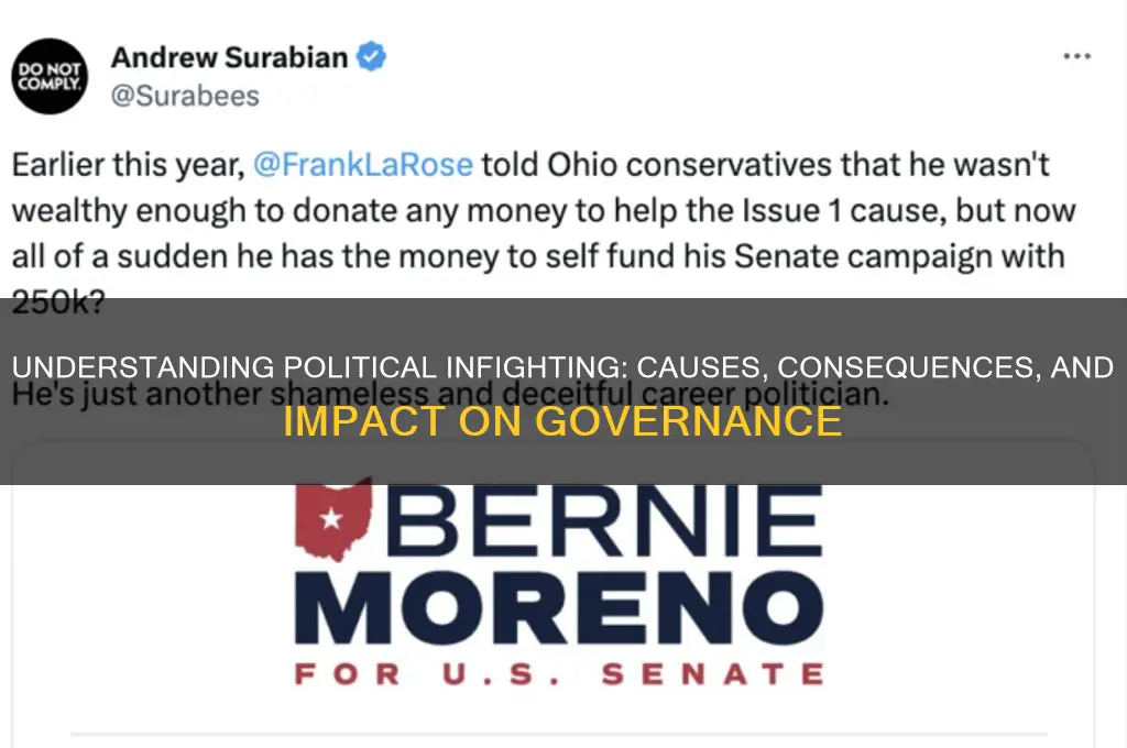 what is political infighting