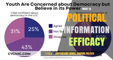 Understanding Political Information Efficacy: Empowering Citizens in Democracy